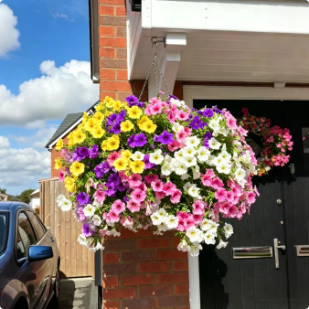 🔥Last Day 60% OFF🔥UV Resistant Artificial Petunias Flowers