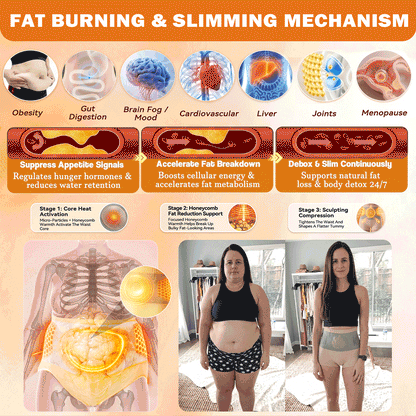 PAURAJU® 30-Min All-in-One Micro-Particle Fat-Burning Shorts✅Ignites deep microcirculation to melt fat, flush toxins, and reverse metabolic aging.🌳