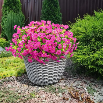 🔥Last Day 60% OFF🔥UV Resistant Artificial Petunias Flowers