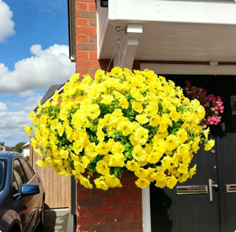 🔥Last Day 60% OFF🔥UV Resistant Artificial Petunias Flowers